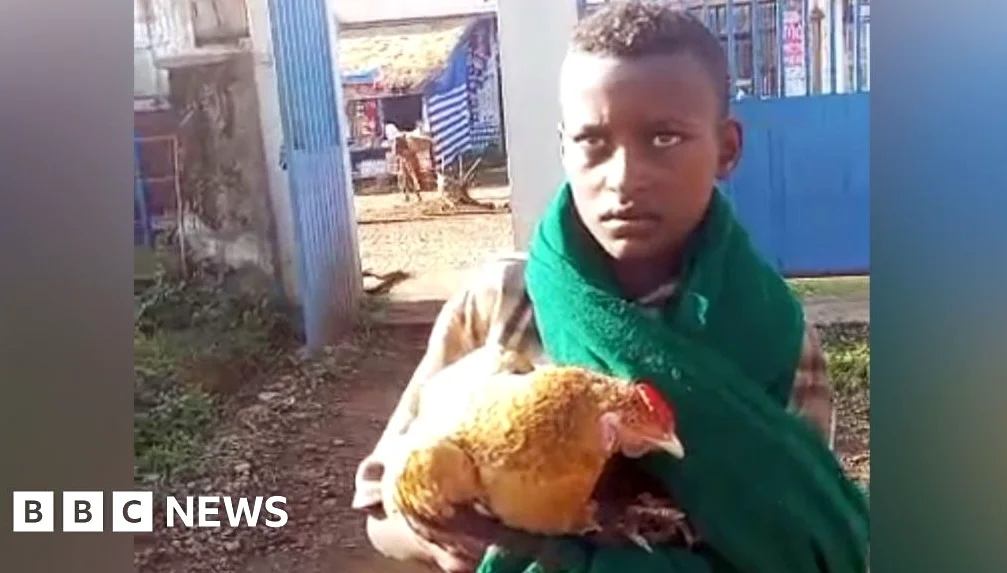 12-Year-Old Wins Hearts Trying to Check Sick Chicken Into Hospital