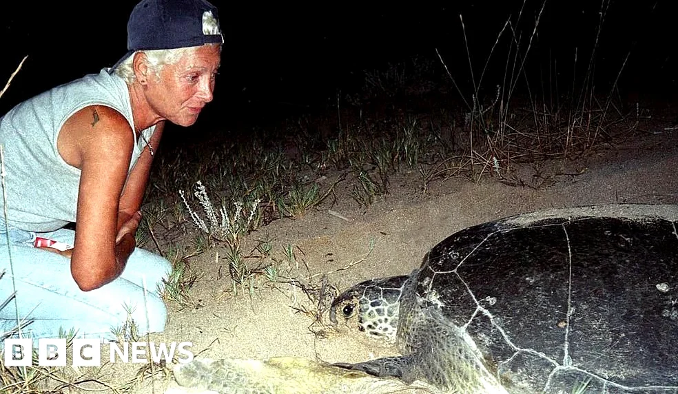 Lebanese Turtle Conservationist Mona Khalil Killed at 76