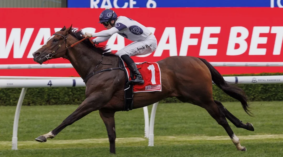 Stake Bet Trends: From Horse Racing to Soccer and Corporate Acquisitions