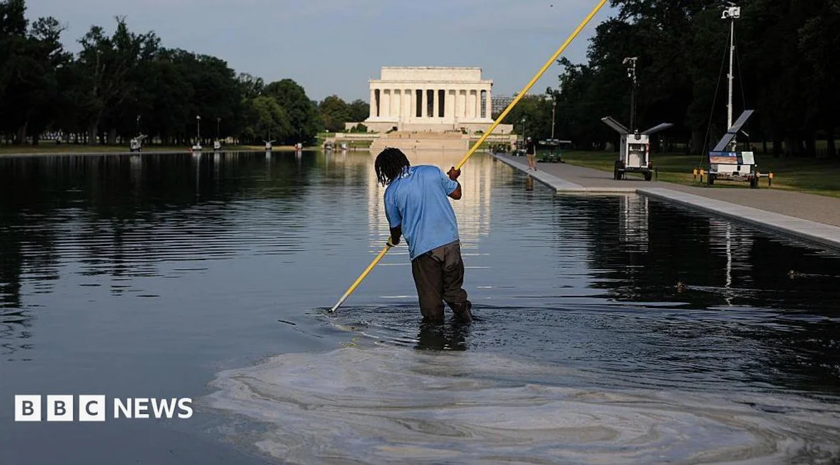Former Olympian Indicted for Allegedly Vandalizing Reflecting Pool