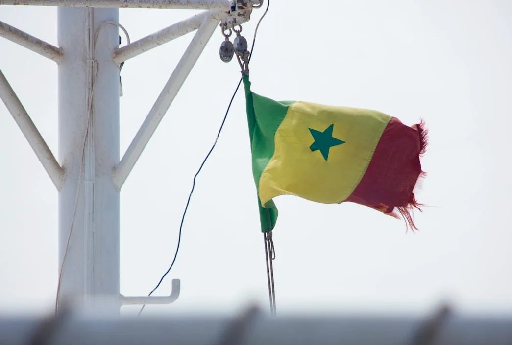 Senegal’s World Cup Agony: Nation Rues Last-Gasp Collapse