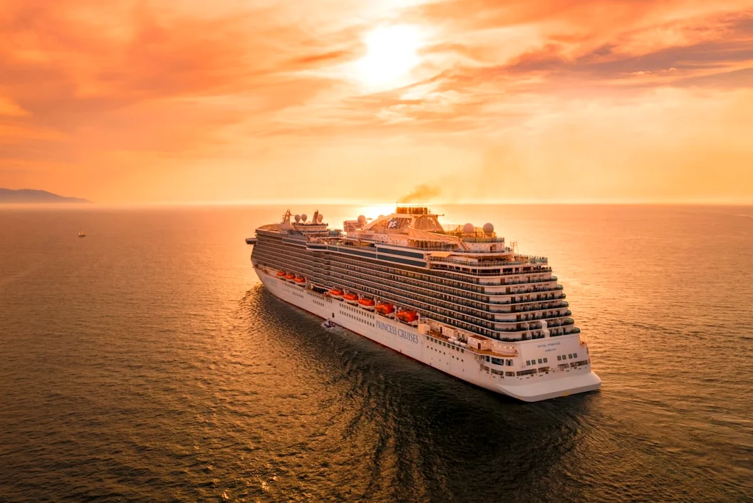 WHO Declares Cruise-Linked Hantavirus Outbreak Over