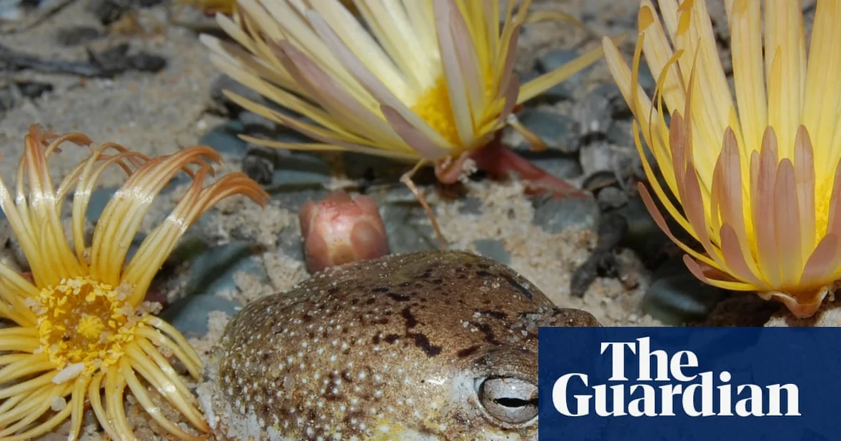Deep Sea Species at 2/3 Risk Due to Human Activities