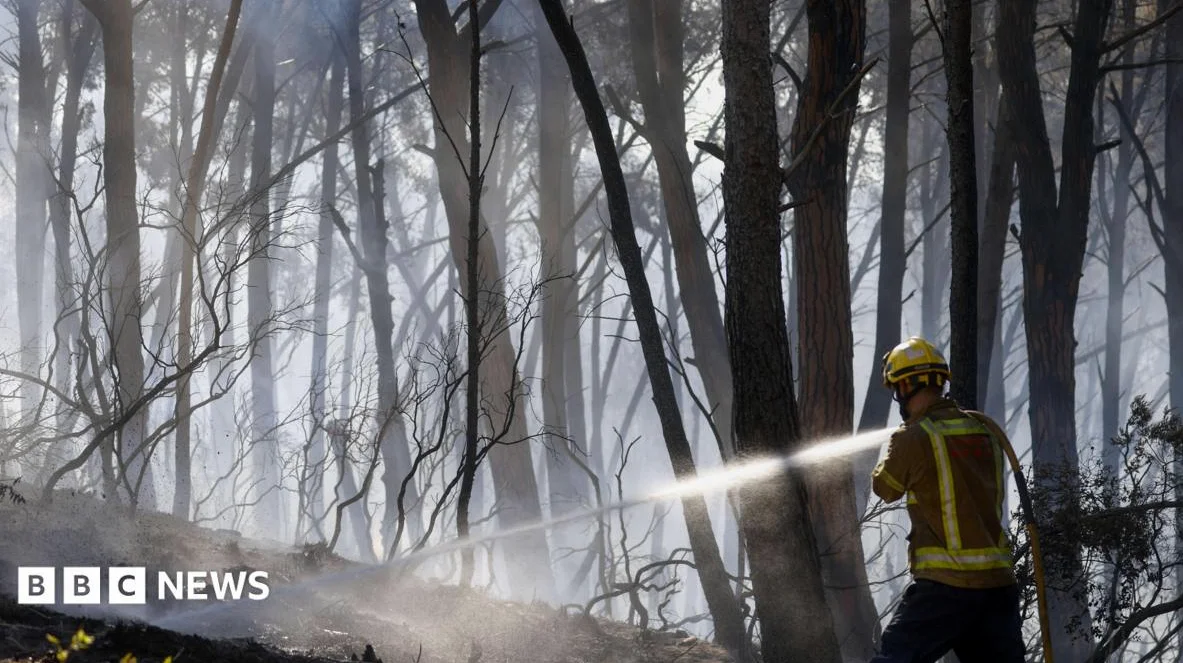 Twelve Die in Spain Wildfire as Heatwave Hits Southern Europe