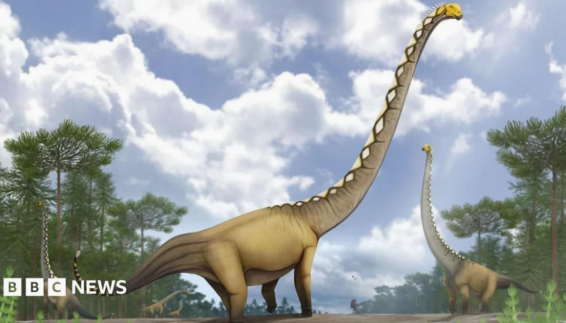 New dinosaur species as long as cricket pitch discovered in Thailand