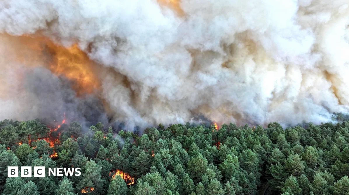 Wildfire Raging South of Paris Could Have Been Deliberate