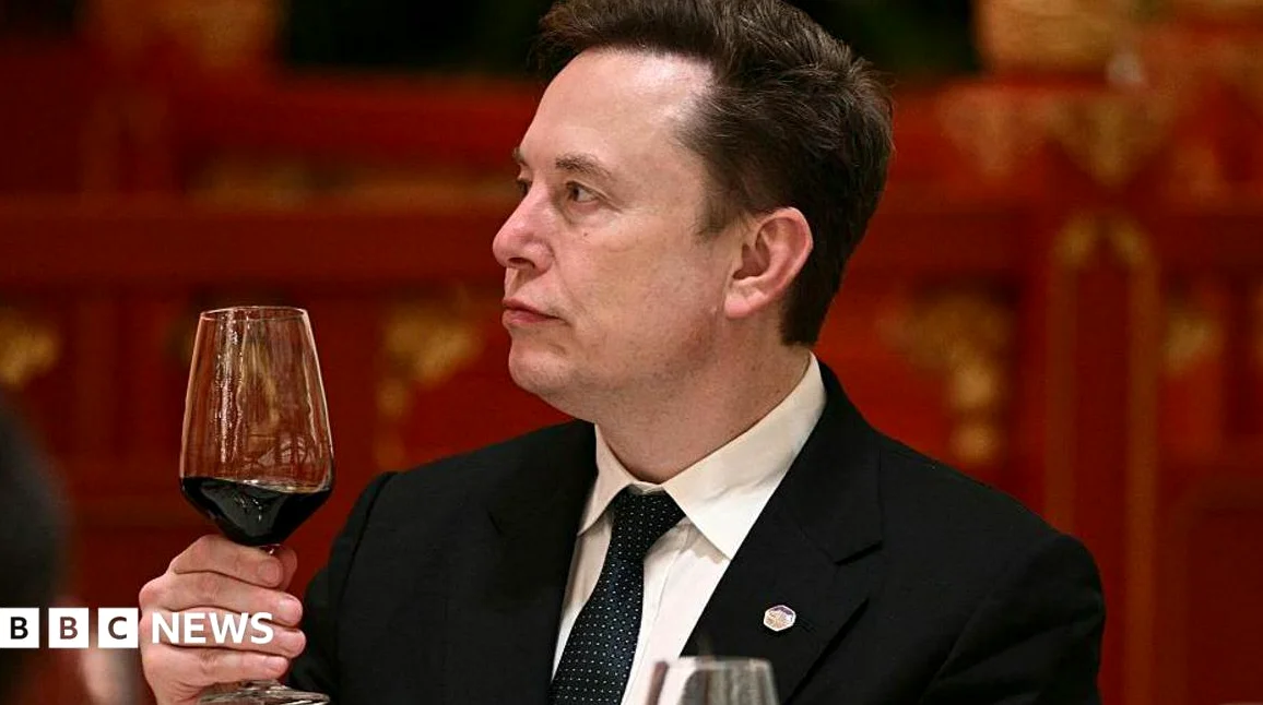 Elon Musk: 'Enjoy the Ride' as AI Fears Mount