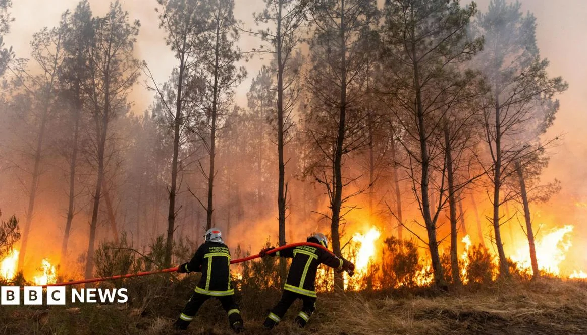 Wildfires Near Bordeaux: ‘Wall of Flames’ and Evacuations