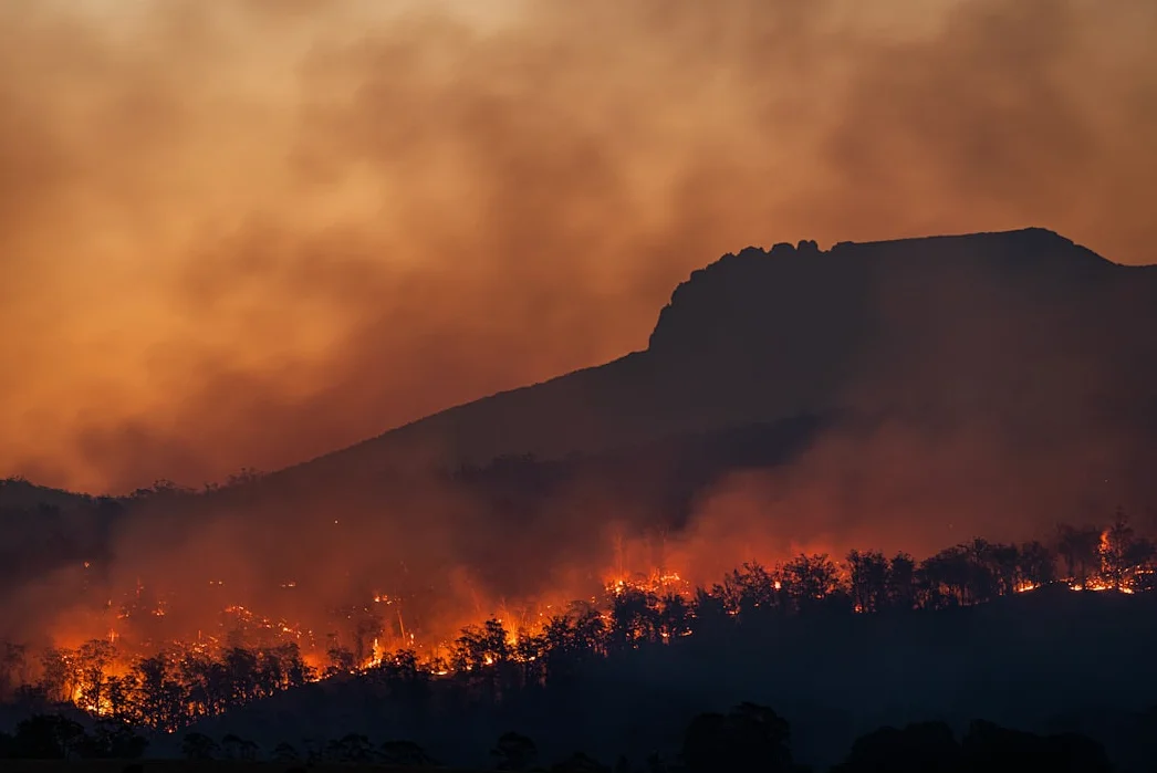 Ash fell from the sky: Wildfires and volcanic history converge