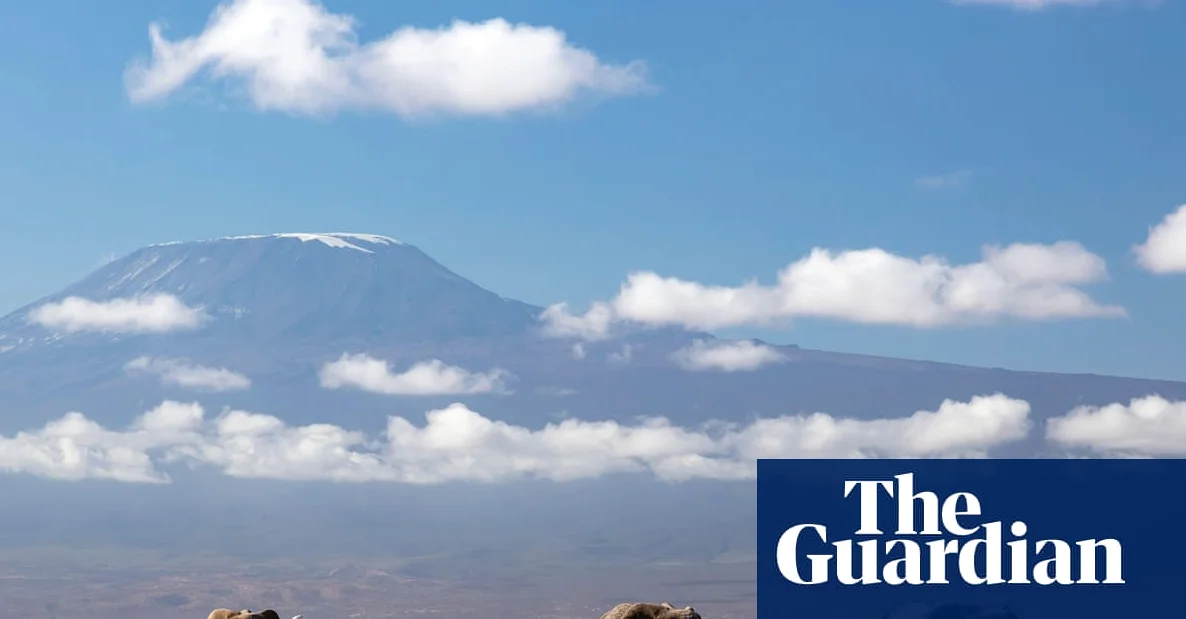 Kenya Investigating 15 Elephant Deaths in Amboseli Park