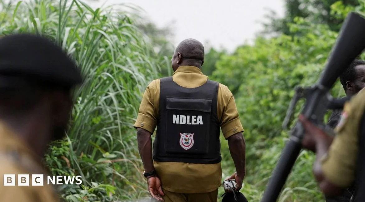How Mexican drug cartels have outsourced meth labs to Nigeria