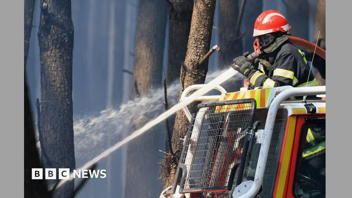 Locals Fight France Wildfire: ‘It’s our home, it’s our forest’