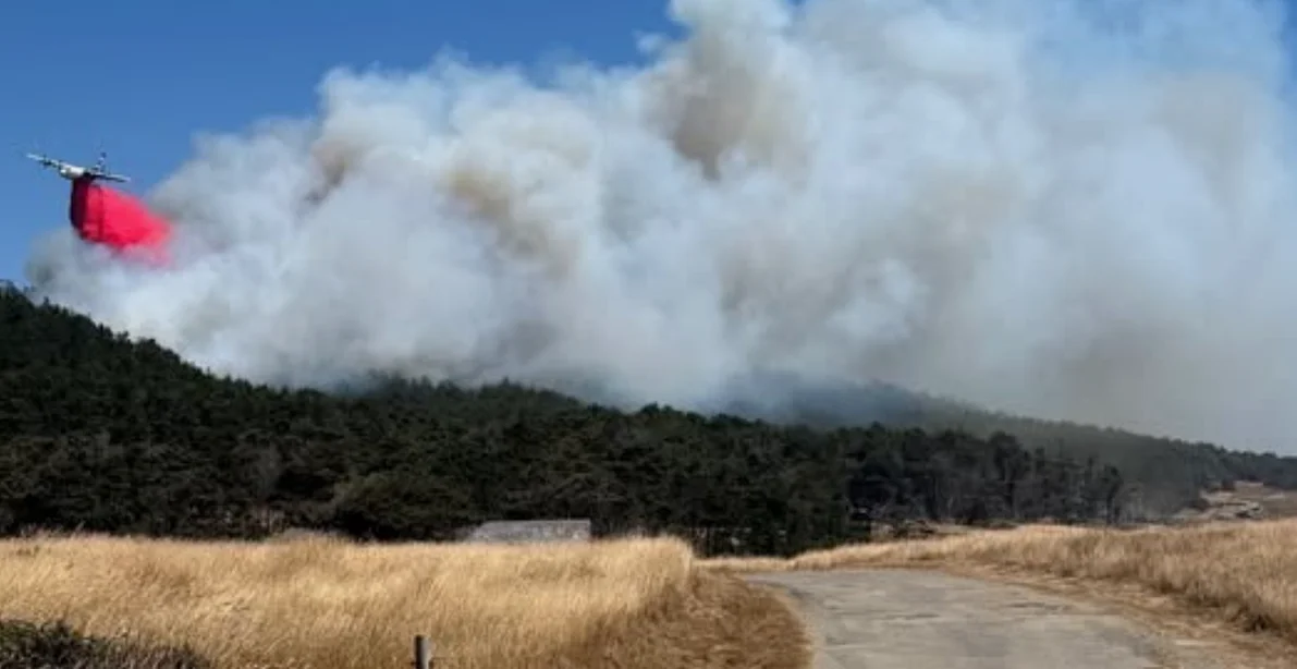 Woodside Fire: Wildfire near Salt Point State Park forces evacuations
