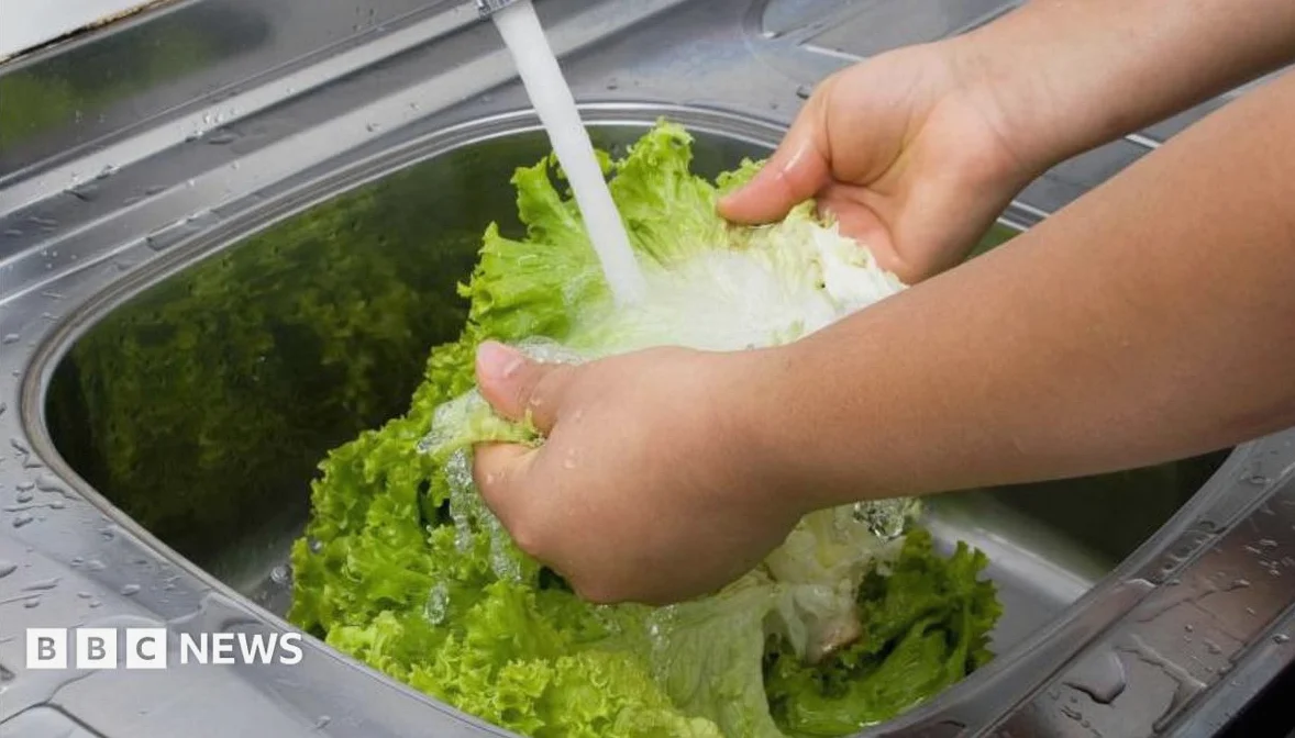 US Reports First Deaths in Cyclospora Outbreak