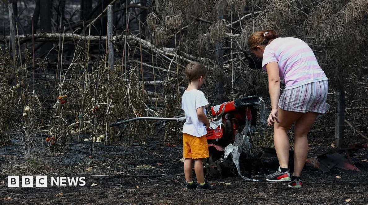 France wildfires reveal hundreds of WW2 shells in village