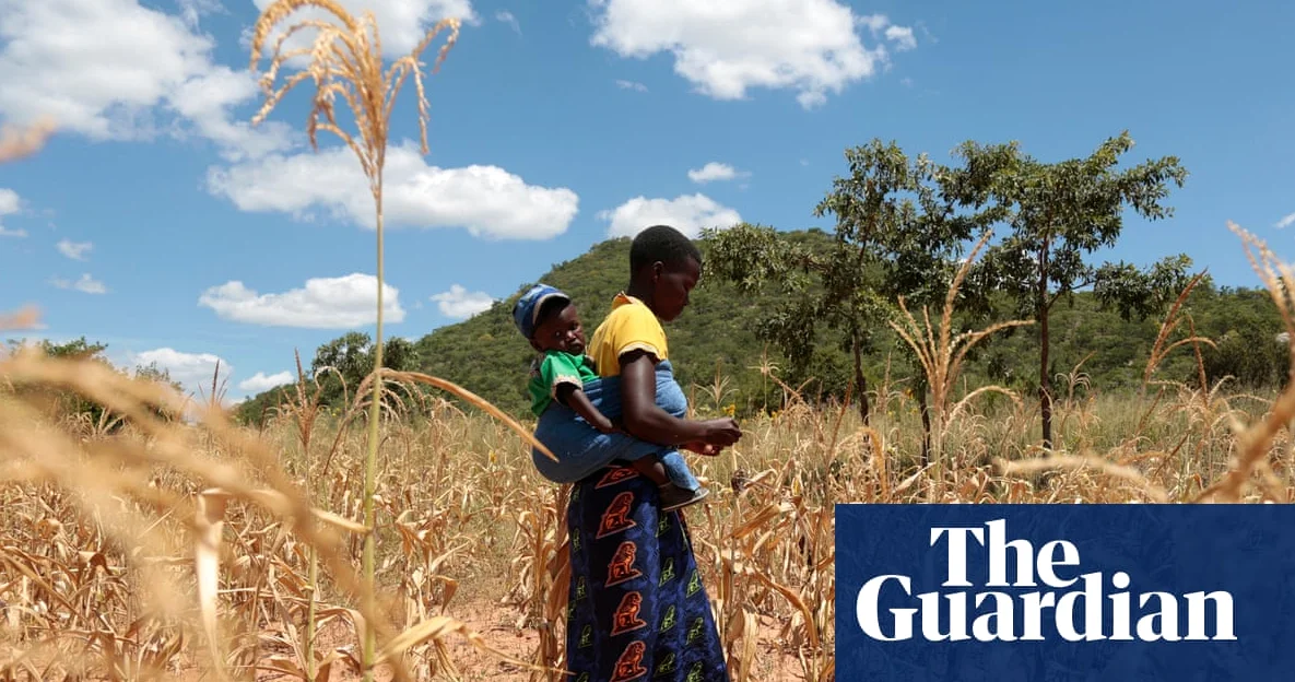 El Niño Could Push 50M into Acute Hunger by 2027
