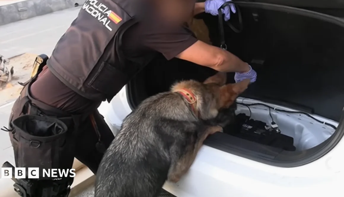 Spain Arrests 78 in Largest Smuggling Network Bust