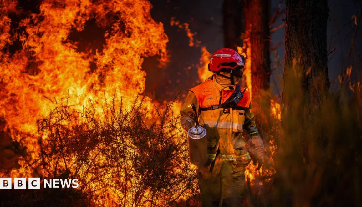 420 arrested over French wildfires as blame divides