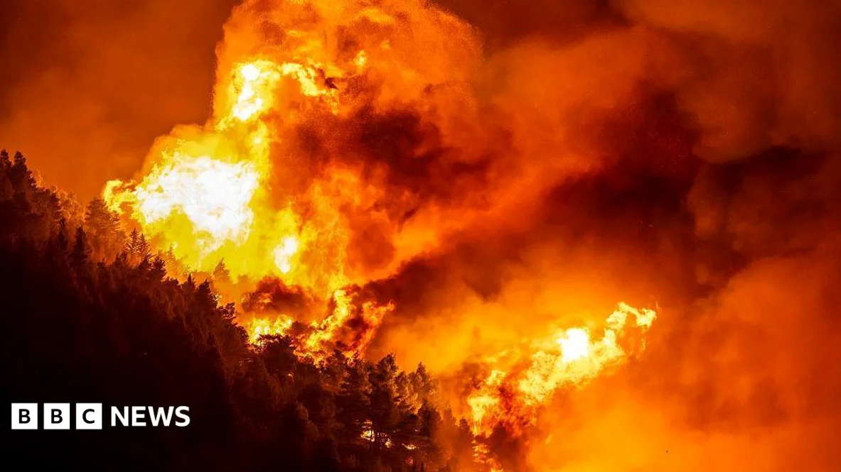 Dozens Injured, Thousands Evacuated in Croatia Wildfire