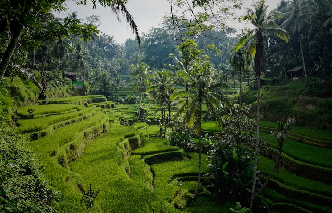 Turista suizo condenado a un año de cárcel por ofender el Nyepi en Bali