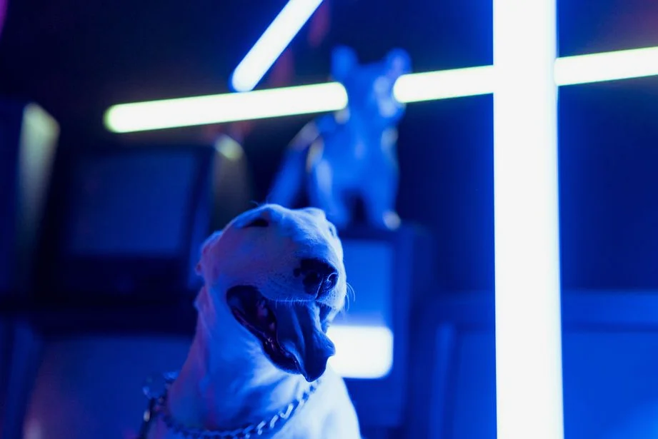 Ridley Scott's 'The Dog Stars' Debuts 42% Rotten Tomatoes Score
