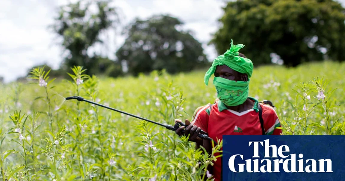 Almost half of world’s farmers poisoned by pesticides every year, experts find