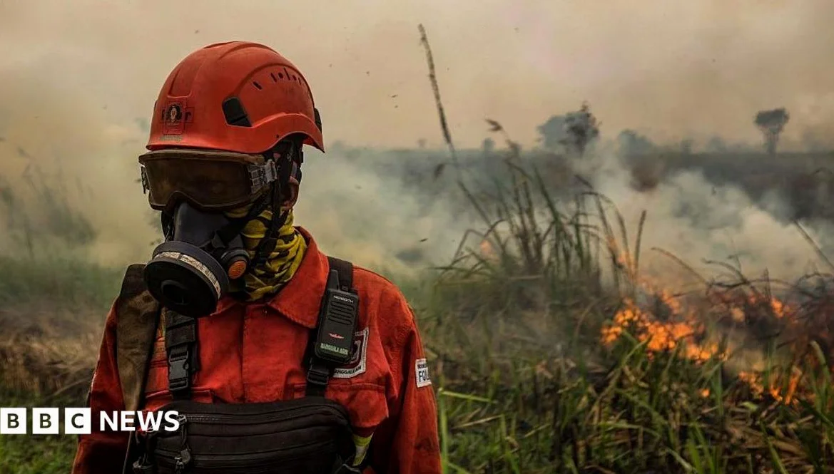「スーパー」エルニーニョで南東アジアに有毒な山火事の煙
